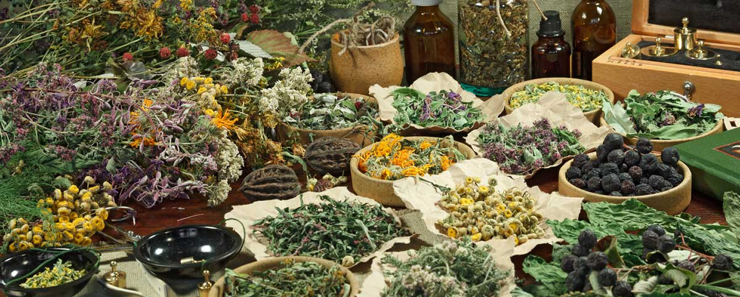 Ingrédients naturels issus de la nature : fleurs, plantes médicinales et herbes ancestrales