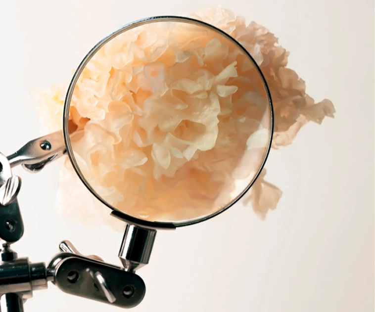 Symbole mystérieux représentant la rencontre entre tradition et modernité chez Les Merveilles sans Nom lou^pe scientifique envoyant le style apothicaire et précis de la boutique